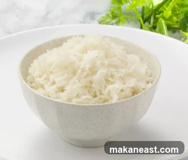 Bowl of Rice