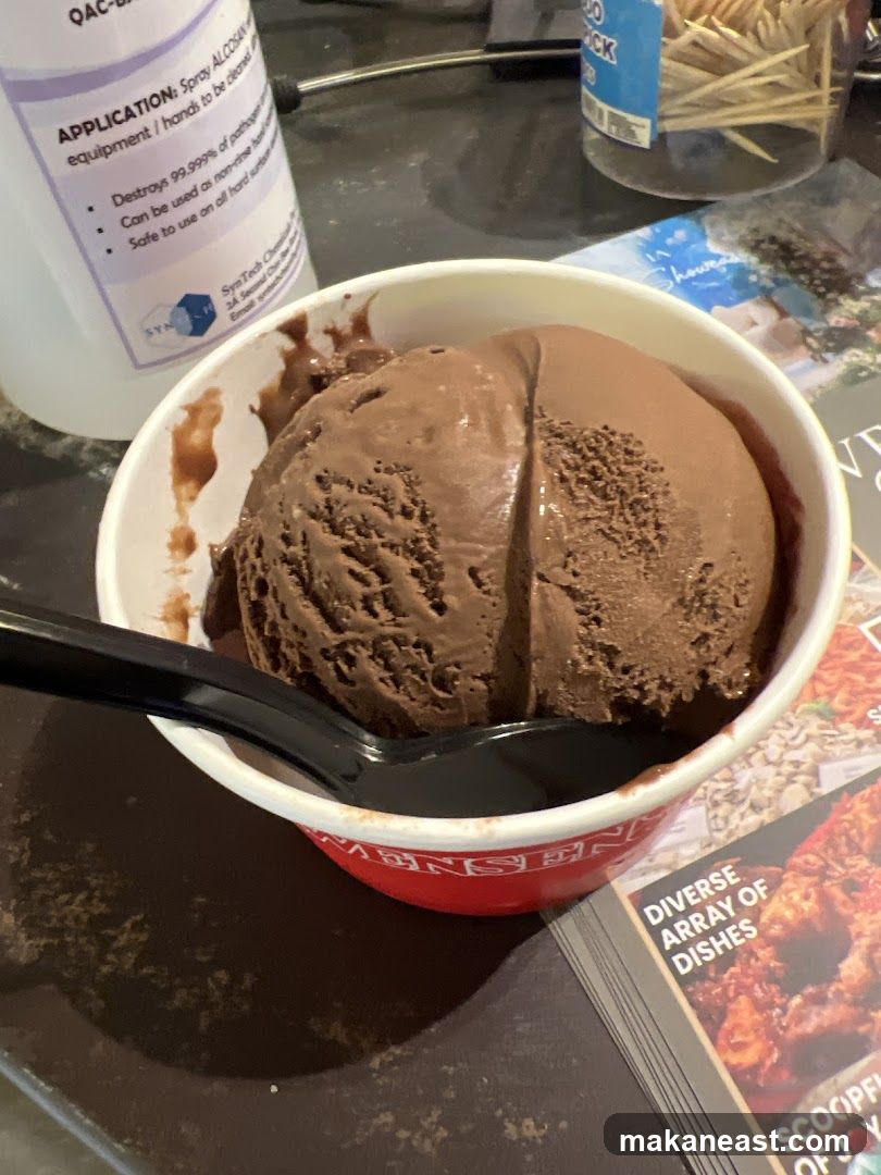 Chocolate ice cream in a cup