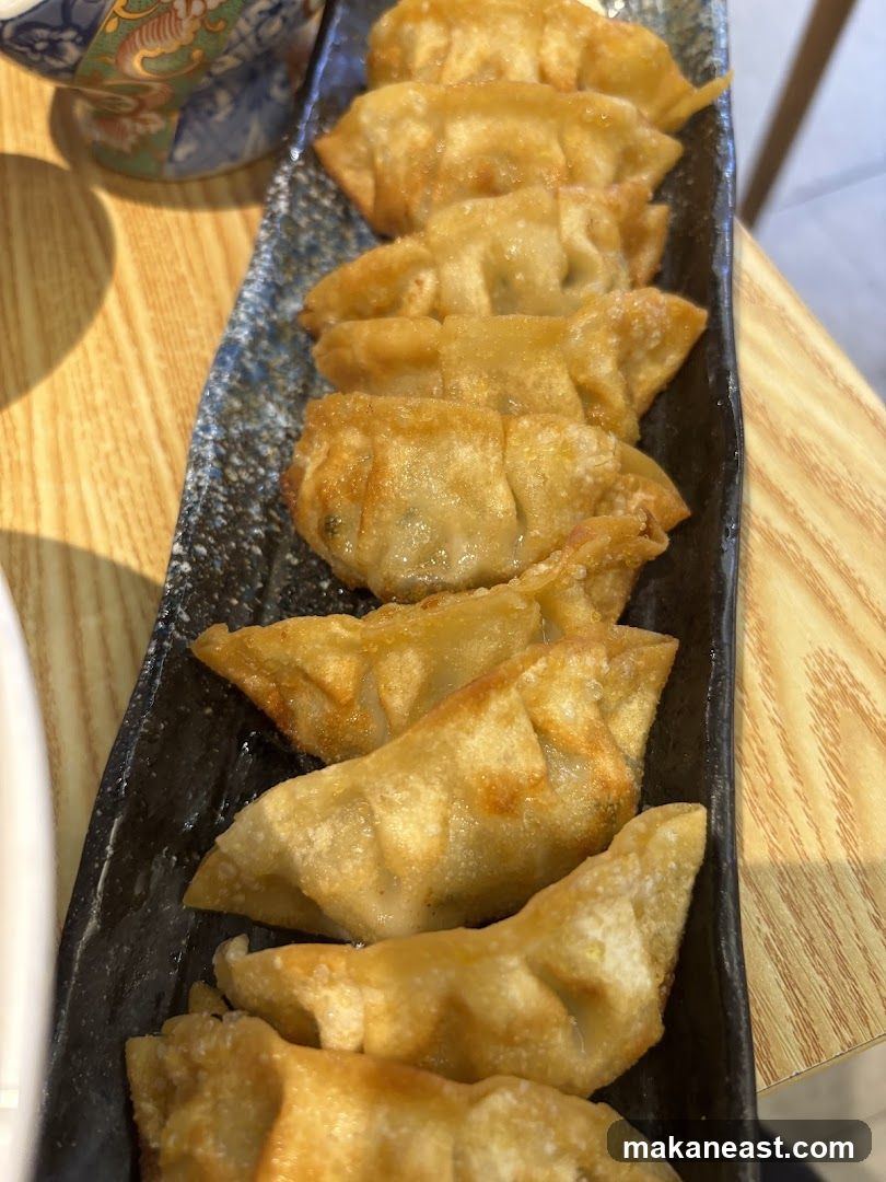 Fried Dumplings