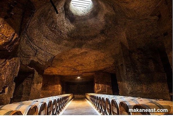 Wine Cellar