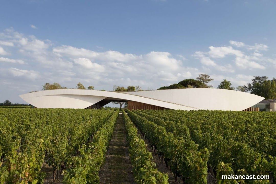 Vineyard and Modern Building