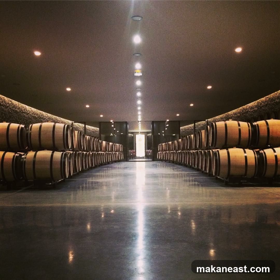 Wine Cellar