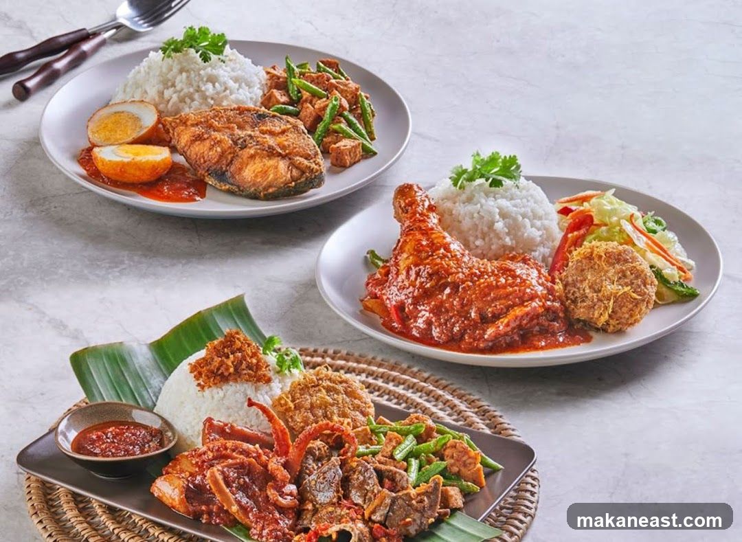 Three Plates of Rice Dishes