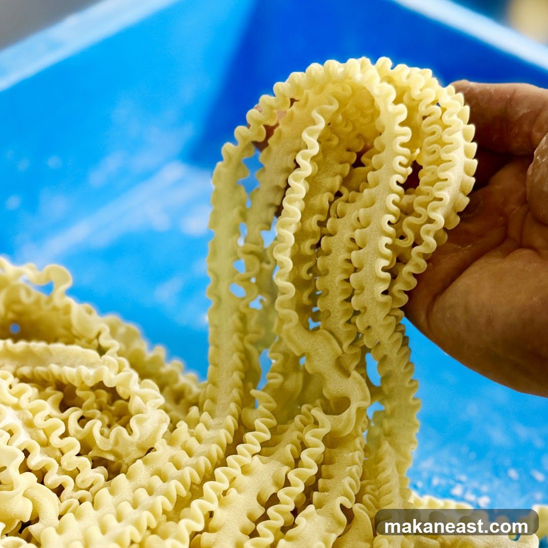 Freshly Made Pasta