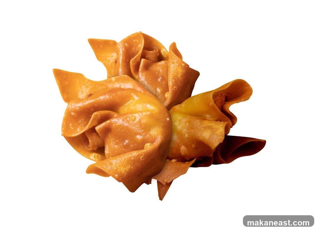 Fried Wonton
