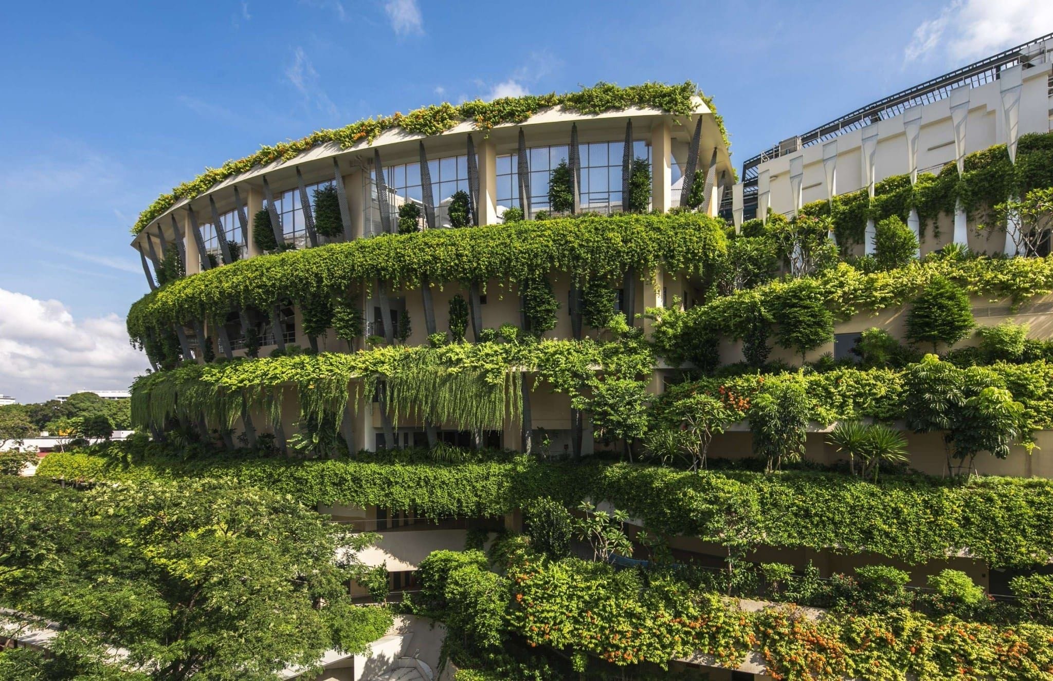 Heartbeat@Bedok green terraces in daylight, 11 Bedok North Street 1